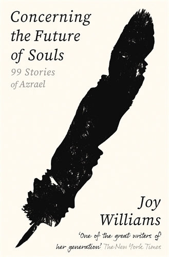 Concerning the Future of Souls (Joy Williams)