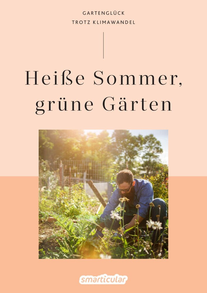 Heiße Sommer, grüne Gärten (Smarticular Verlag)