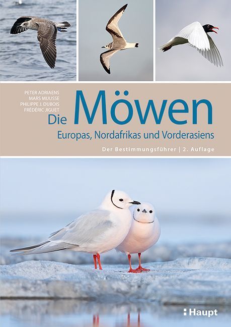 Die Möwen Europas, Nordafrikas und Vorderasiens (Peter Adriaens)