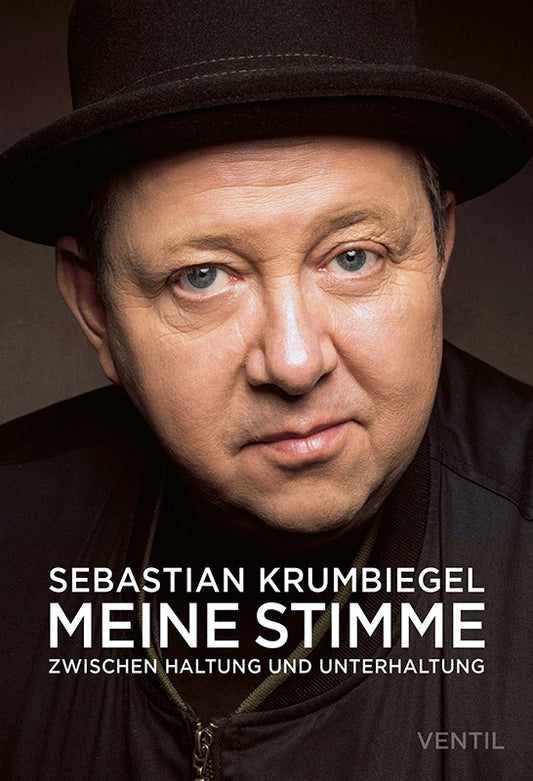 Meine Stimme (Sebastian Krumbiegel)