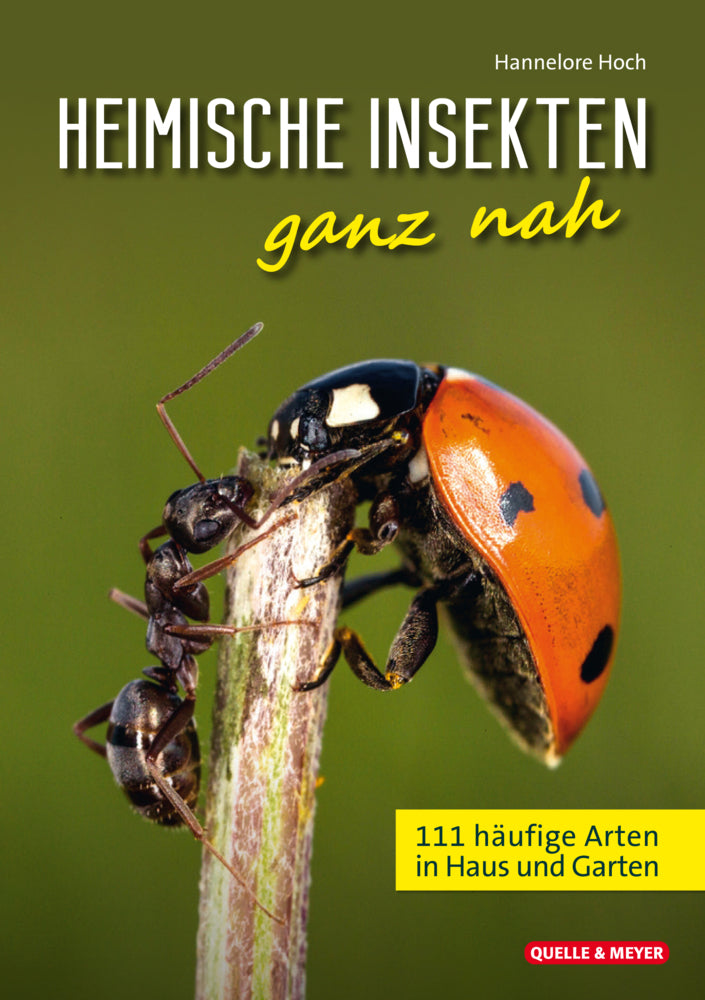 Heimische Insekten ganz nah (Hannelore Hoch)