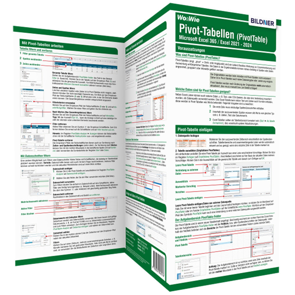 Pivot-Tabellen (PivotTable) Microsoft Excel 365 / Excel 2021 - 2024 (Inge Baumeister)