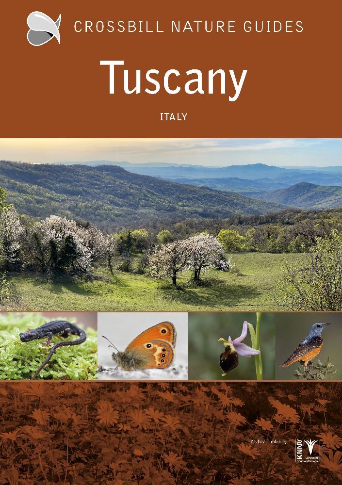 Tuscany (Graham Chisholm)