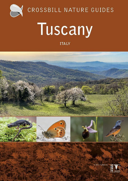 Tuscany (Graham Chisholm)