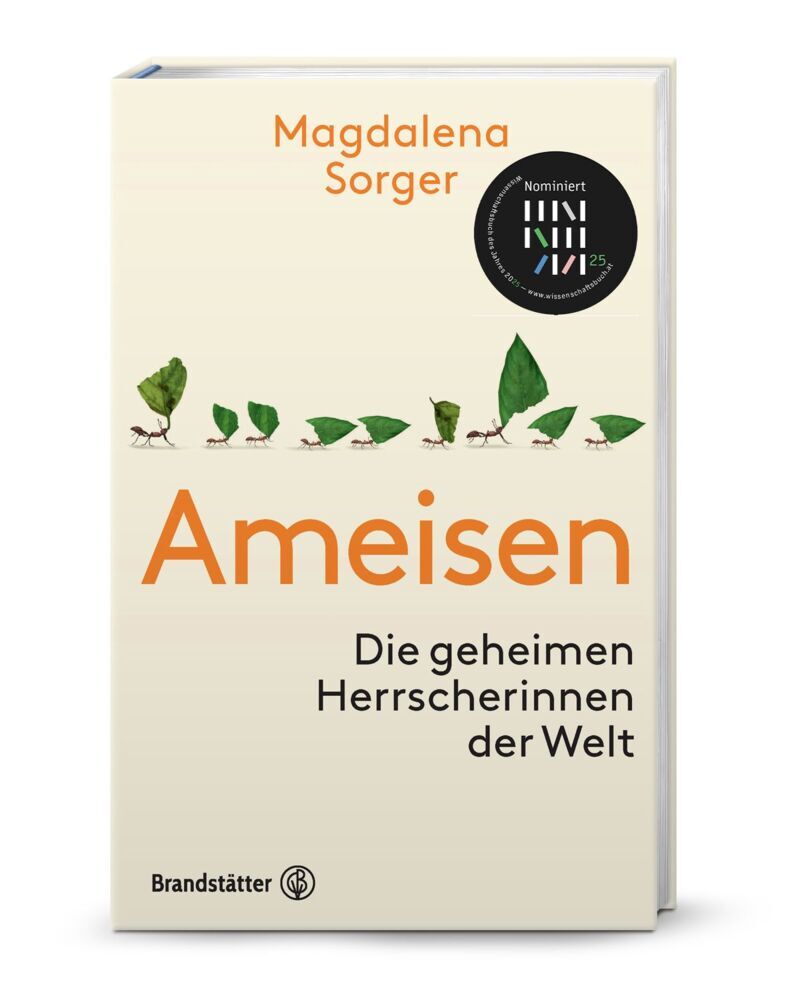 Ameisen (Magdalena Sorger)
