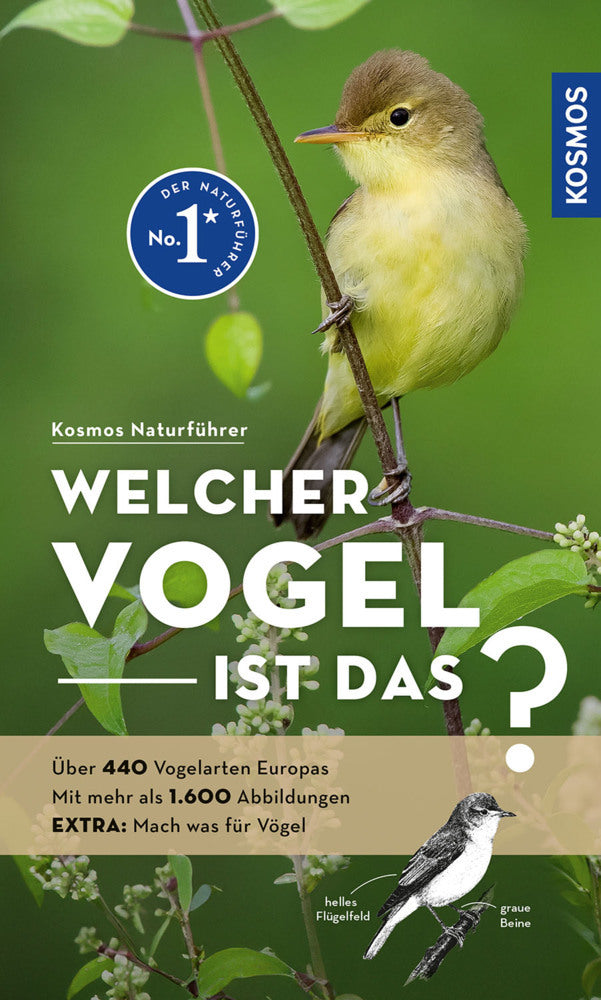 Welcher Vogel ist das? (Volker Dierschke)