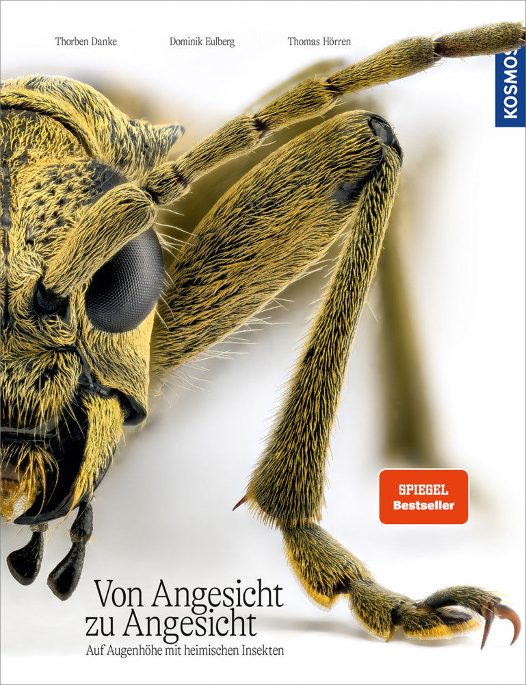 Von Angesicht zu Angesicht (Dominik Eulberg)
