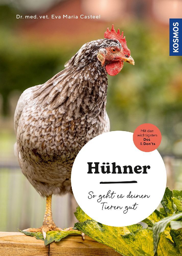 Hühner (Eva-Maria Casteel)