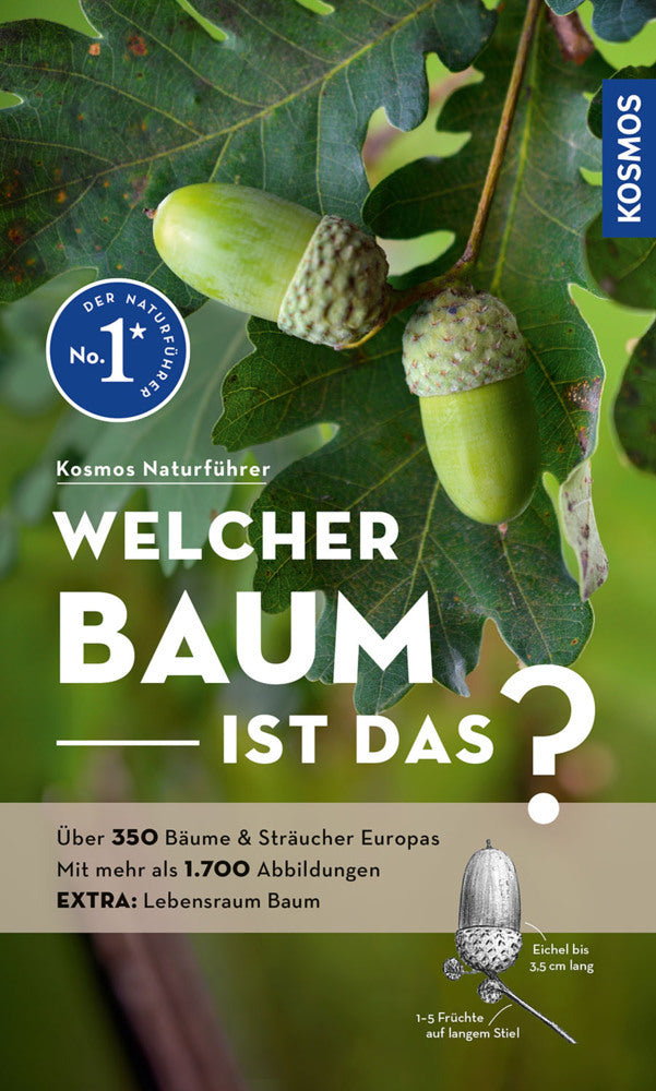 Welcher Baum ist das? (Margot Spohn)