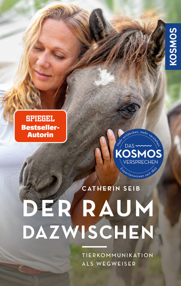 Der Raum dazwischen (Catherin Seib)