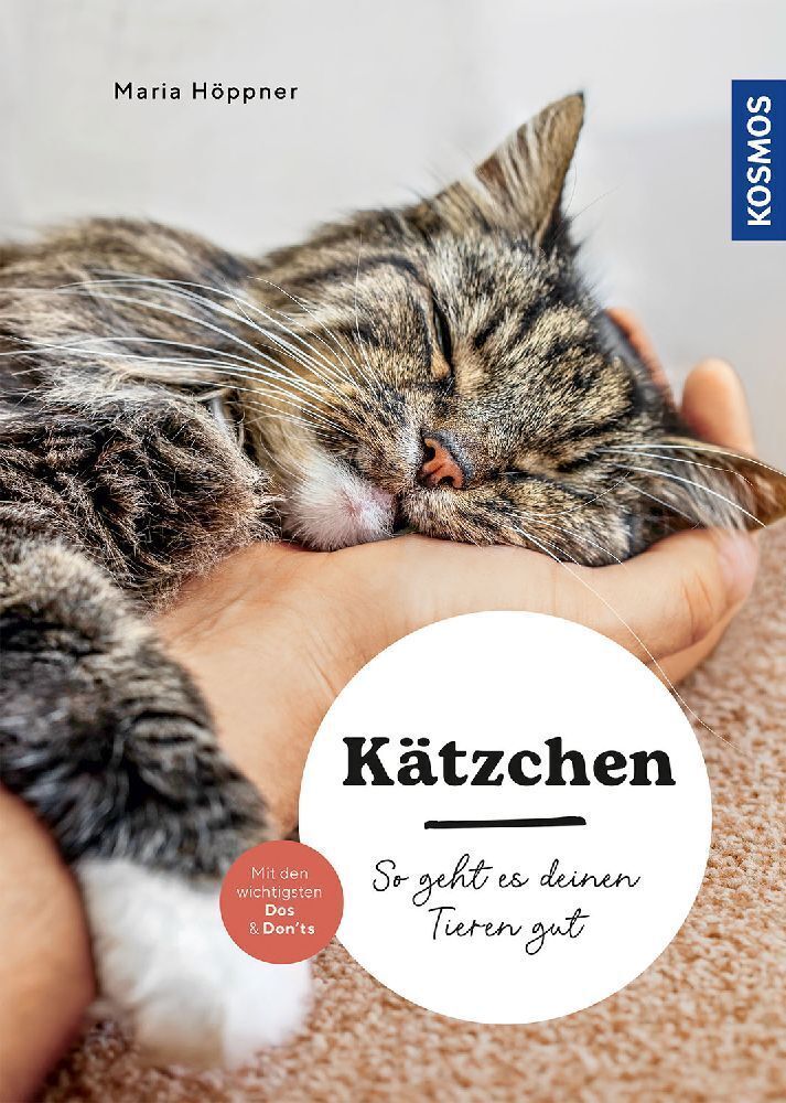 Kätzchen (Maria Höppner)