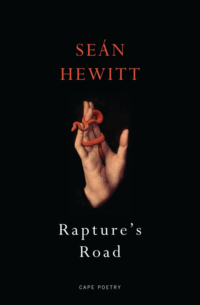 Rapture's Road (Seán Hewitt)