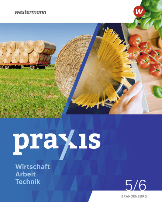 Praxis - WAT - Wirtschaft / Arbeit / Technik für das 5. / 6. Schuljahr in Brandenburg - Ausgabe 2024 (Axel Stefan)