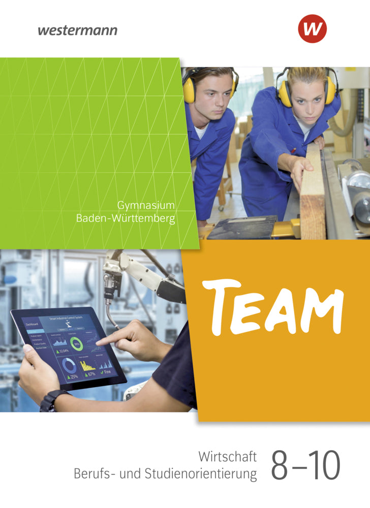 TEAM - Arbeitsbuch für Wirtschaft/Berufs- und Studienorientierung an Gymnasien in Baden-Württemberg - Ausgabe 2024 (Karin Herzig)