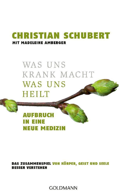 Was uns krank macht - Was uns heilt (Christian Schubert)