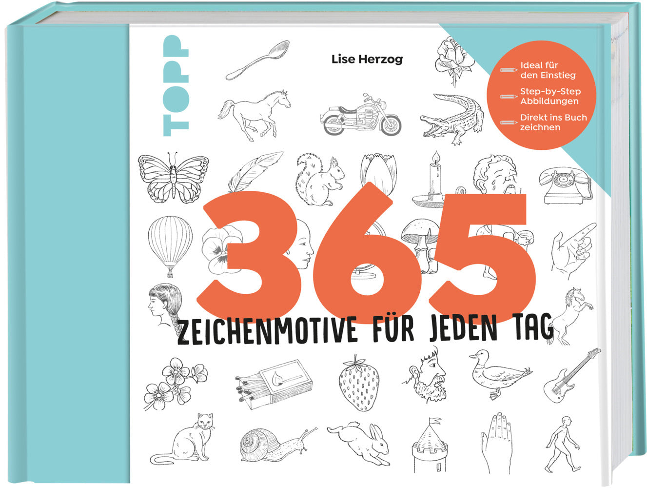 365  Zeichenmotive für jeden Tag (Lise Herzog)