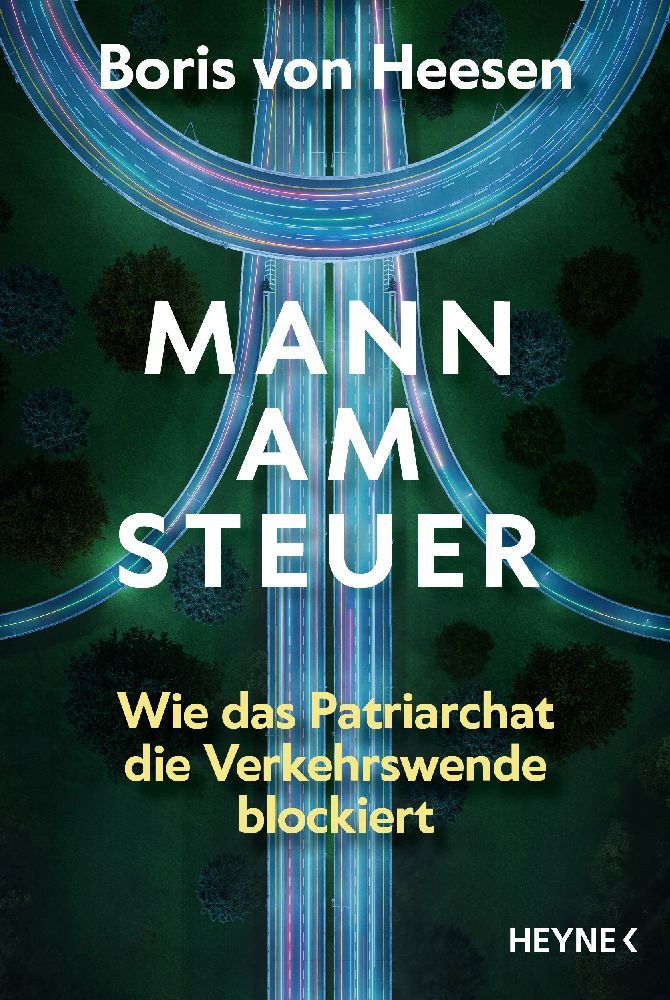 Mann am Steuer (Boris Von Heesen)