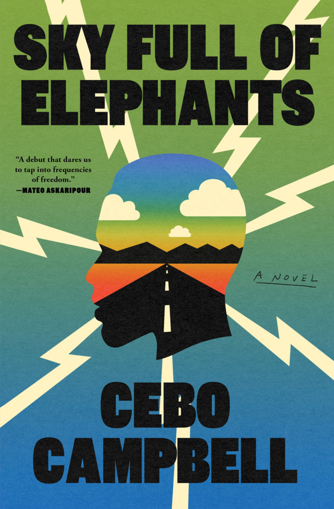 Sky Full of Elephants (Cebo Campbell)