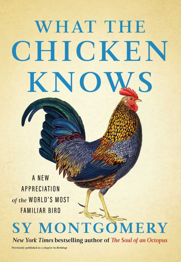 What the Chicken Knows (Sy Montgomery)