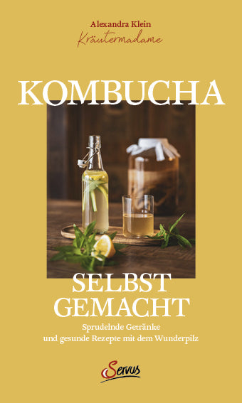 Kombucha selbst gemacht (Alexandra Klein)