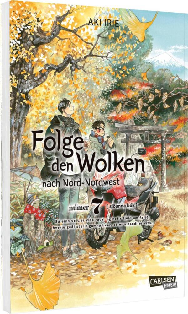 Folge den Wolken nach Nord-Nordwest 7 (Aki Irie)