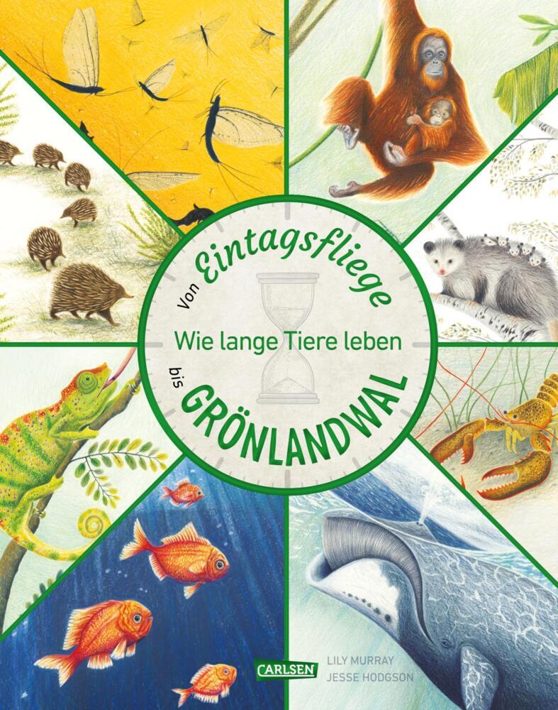 Von Eintagsfliege bis Grönlandwal (Lily Murray)