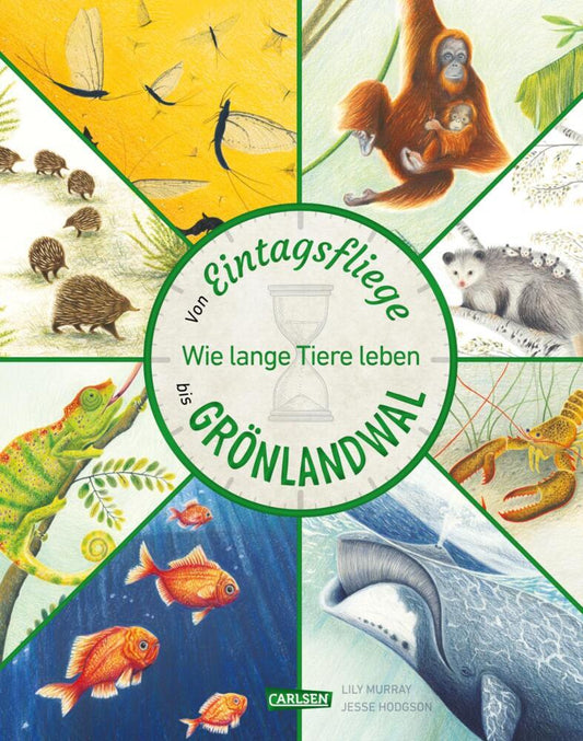 Von Eintagsfliege bis Grönlandwal (Lily Murray)