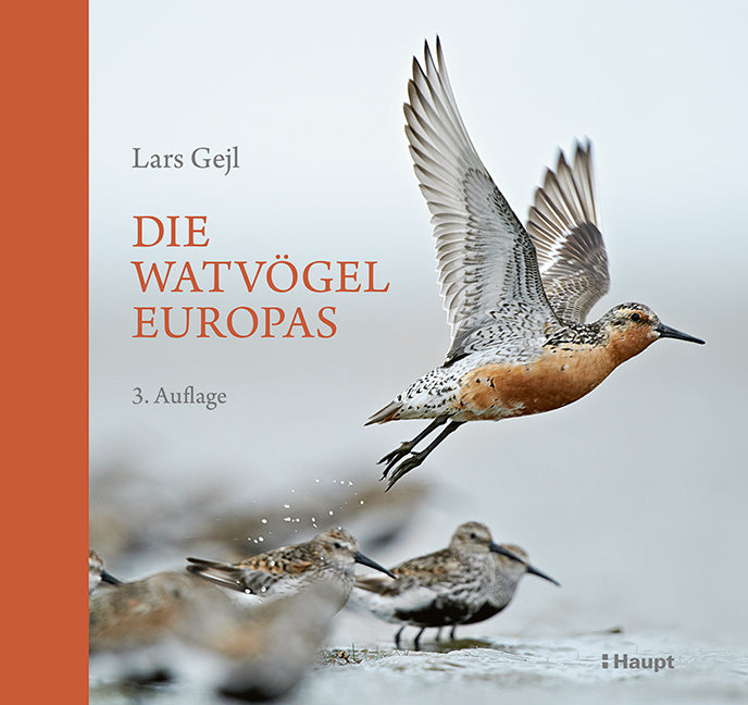 Die Watvögel Europas (Lars Gejl)