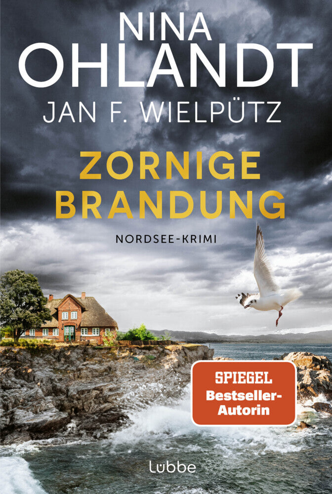 Zornige Brandung (Nina Ohlandt)