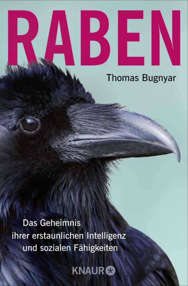 Raben (Thomas Bugnyar)