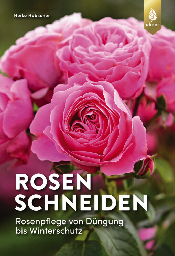 Rosen schneiden (Heiko Hübscher)