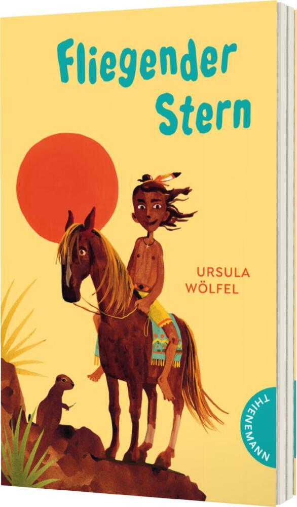 Fliegender Stern (Ursula Wölfel)