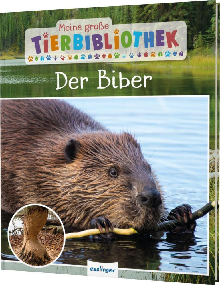 Meine große Tierbibliothek: Der Biber (Axel Gutjahr)