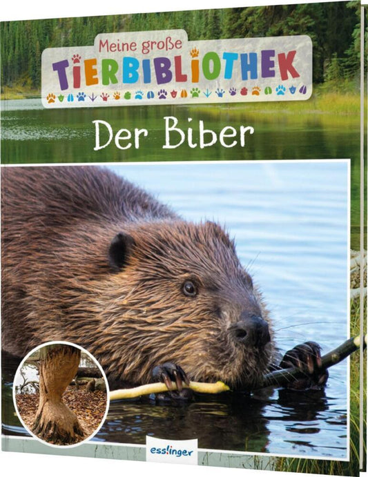 Meine große Tierbibliothek: Der Biber (Axel Gutjahr)
