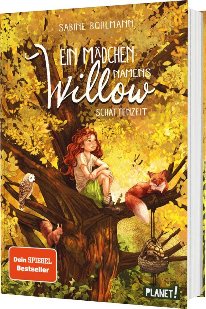 Ein Mädchen namens Willow 5: Schattenzeit (Sabine Bohlmann)