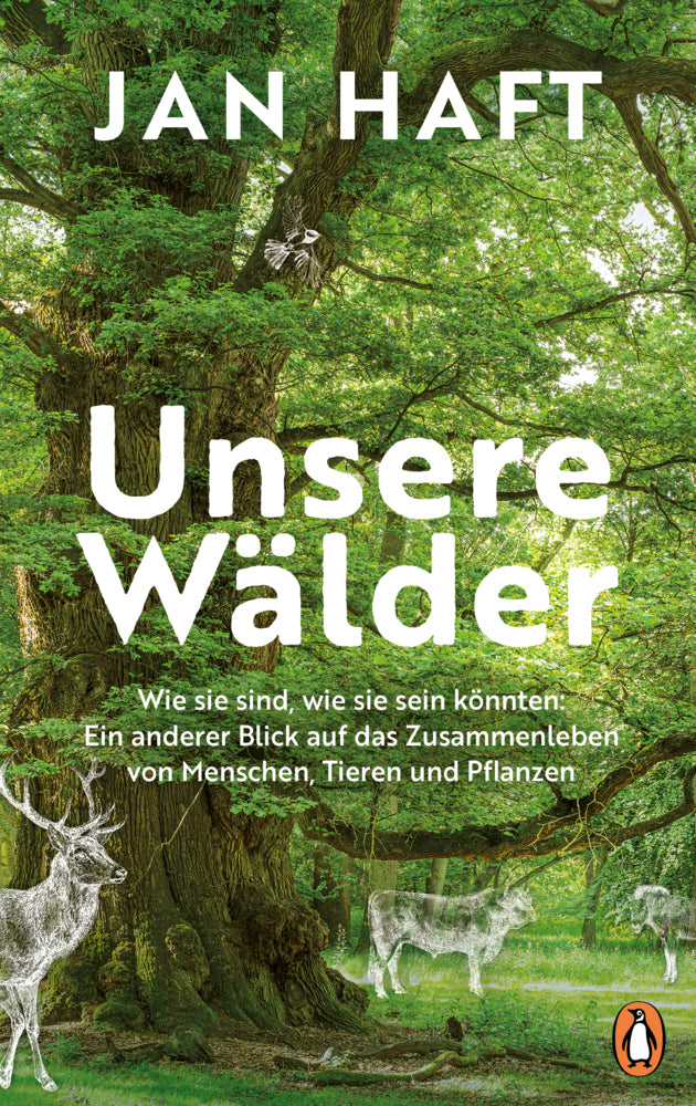 Unsere Wälder (Jan Haft)