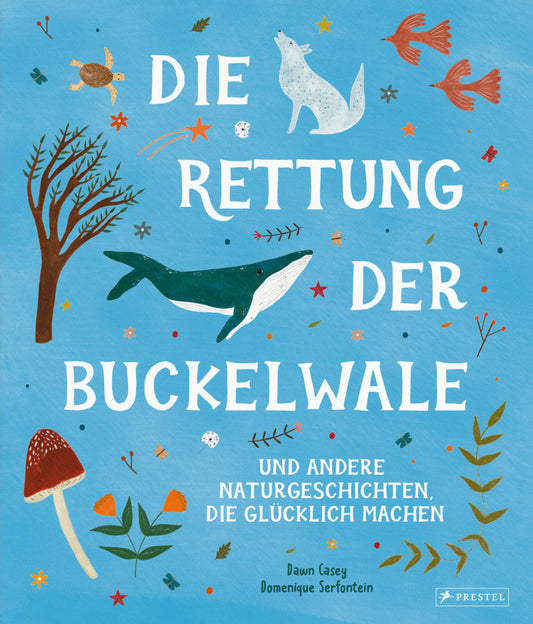 Die Rettung der Buckelwale und andere Naturgeschichten, die glücklich machen (Dawn Casey)