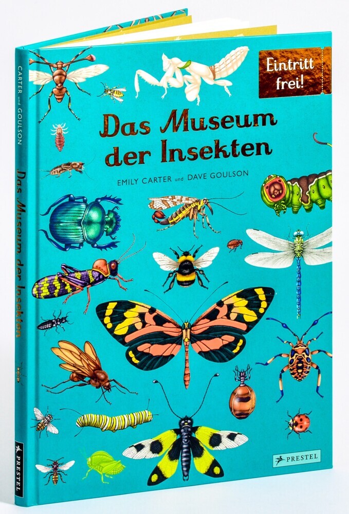 Das Museum der Insekten (Dave Goulson)