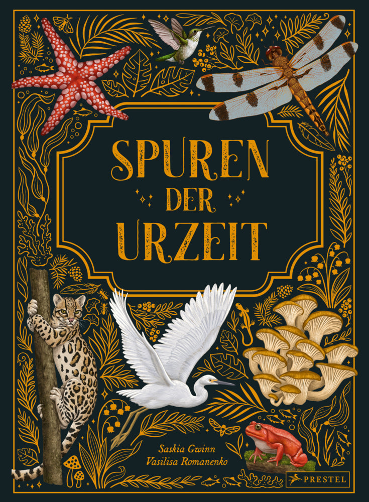 Spuren der Urzeit (Saskia Gwinn)