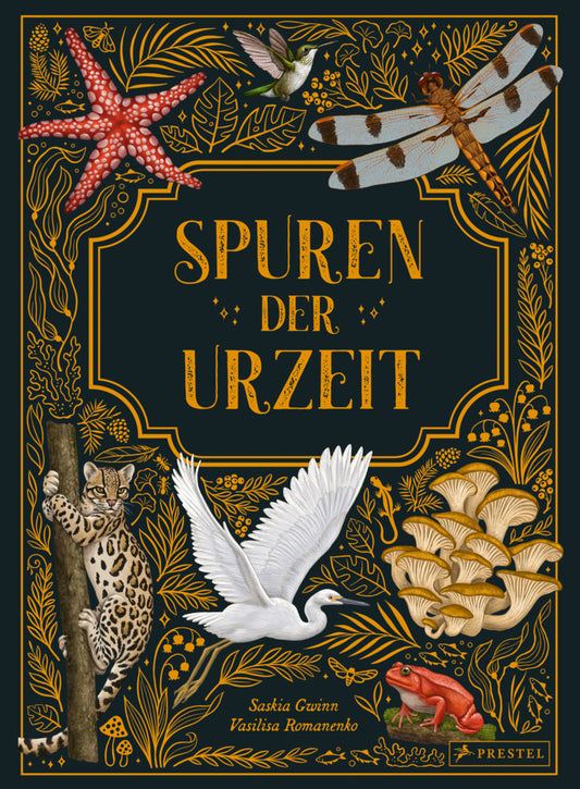 Spuren der Urzeit (Saskia Gwinn)