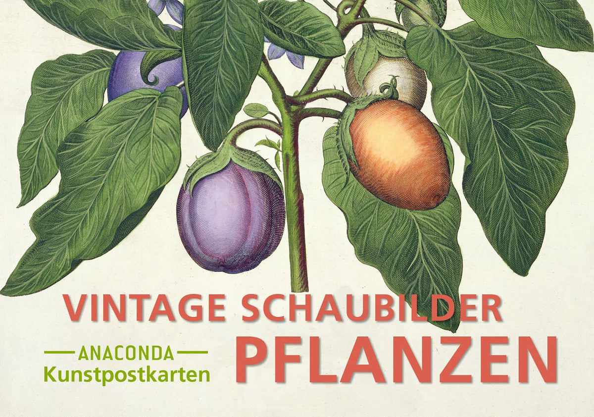 Postkarten-Set Vintage-Schaubilder Pflanzen (Anaconda Verlag)