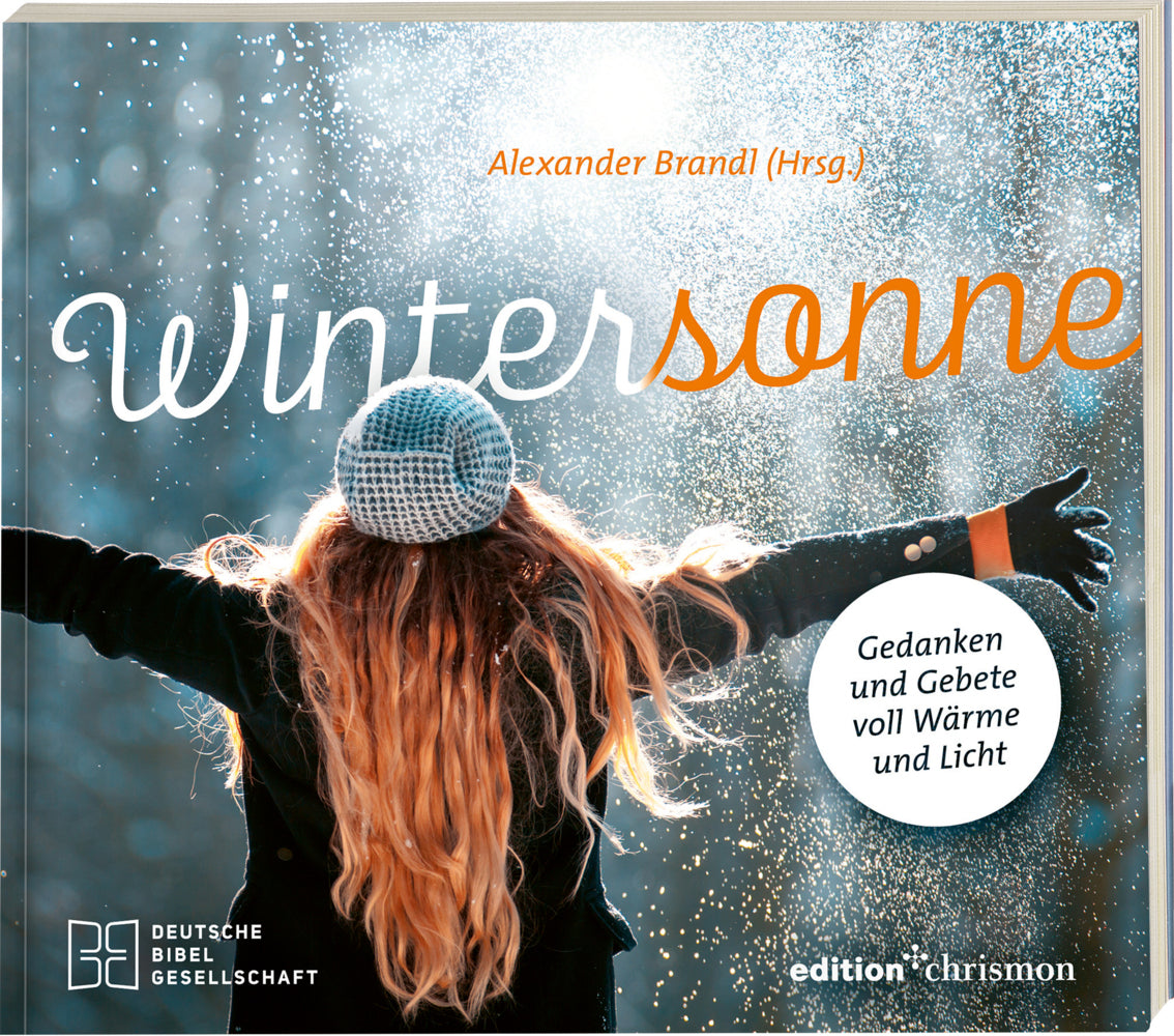 Wintersonne (Alexander Brandl)