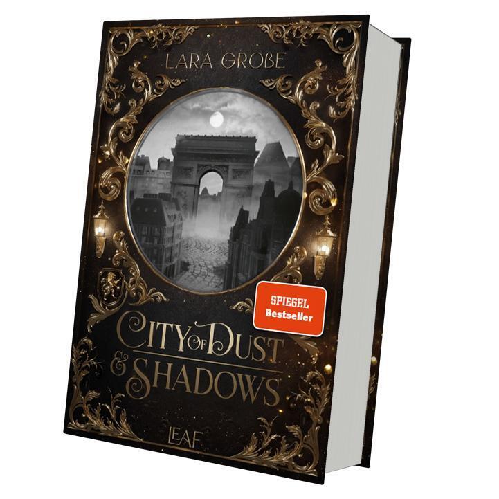 City of Dust and Shadows (Lara Große)