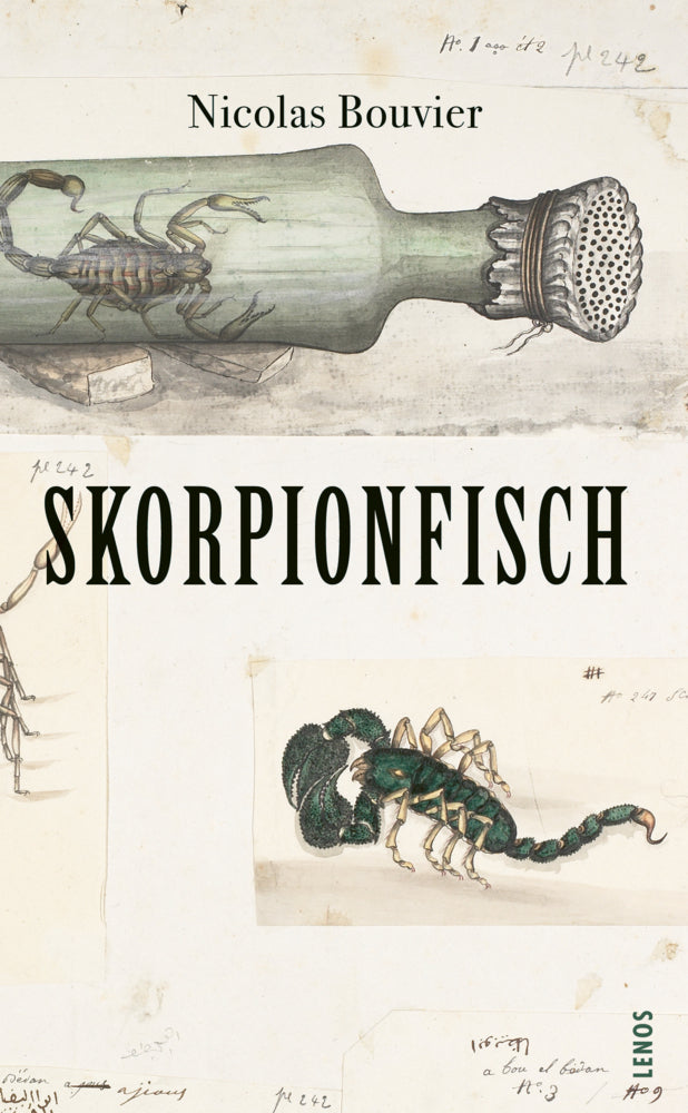 Skorpionfisch (Nicolas Bouvier)