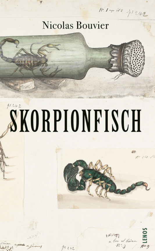 Skorpionfisch (Nicolas Bouvier)