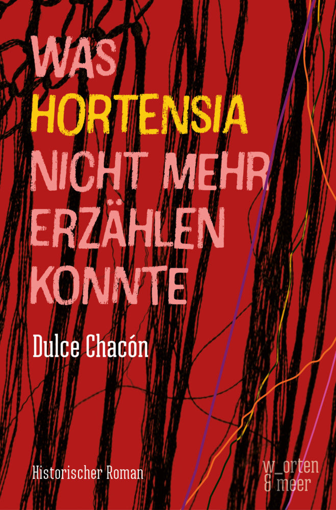 Was Hortensia nicht mehr erzählen konnte (Dulce Chacón)