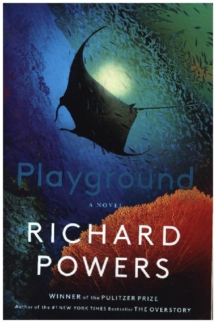 Playground (Richard Powers)