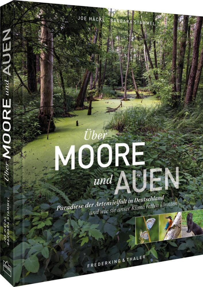 Über Moore und Auen (Barbara Stammel)