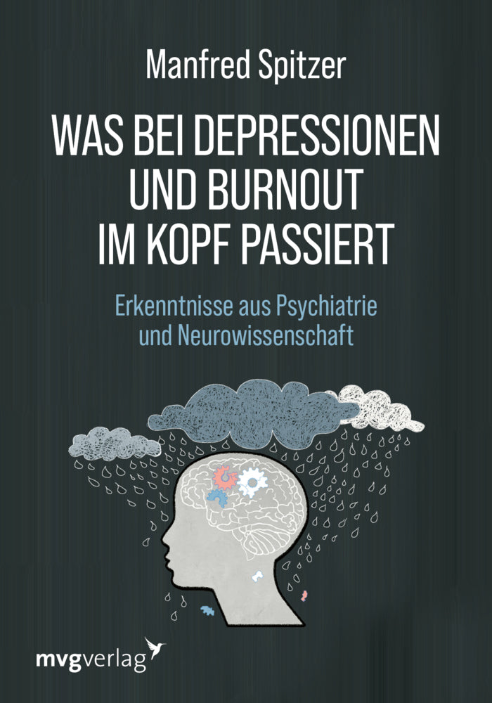 Was bei Depressionen und Burnout im Kopf passiert (Manfred Spitzer)