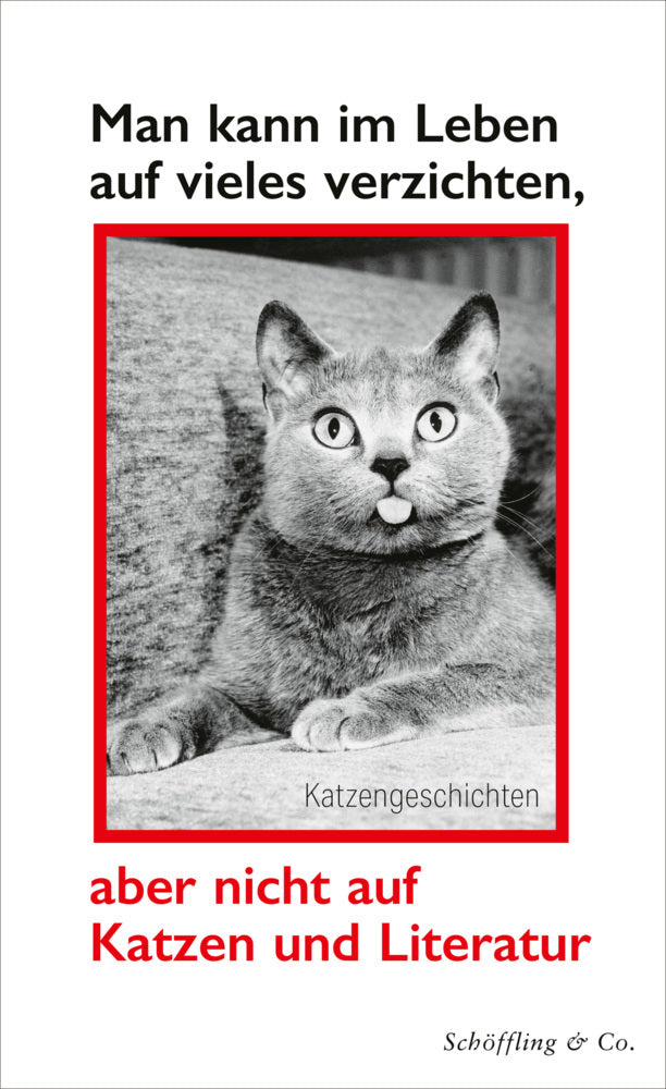 Man kann im Leben auf vieles verzichten, aber nicht auf Katzen und Literatur (Julia Bachstein)